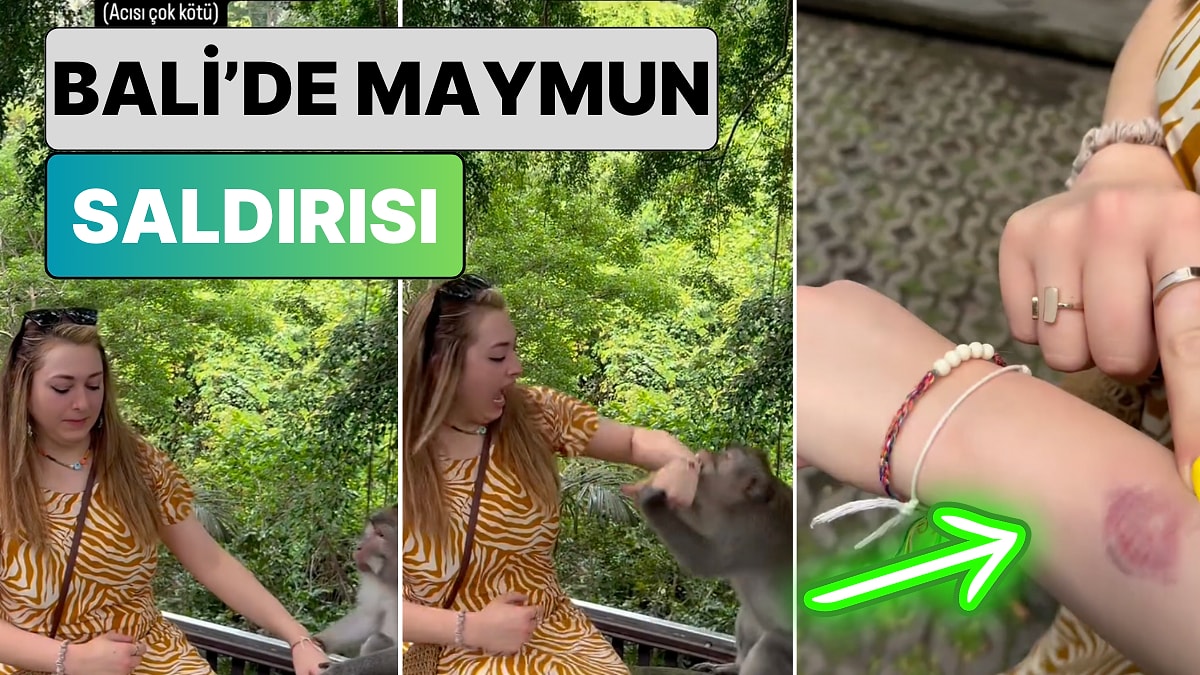 Bali'nin Meşhur Maymunlarıyla Fotoğraf Çekilmek İsteyen Kadın Yediği Diş Darbesiyle Neye Uğradığını Şaşırdı