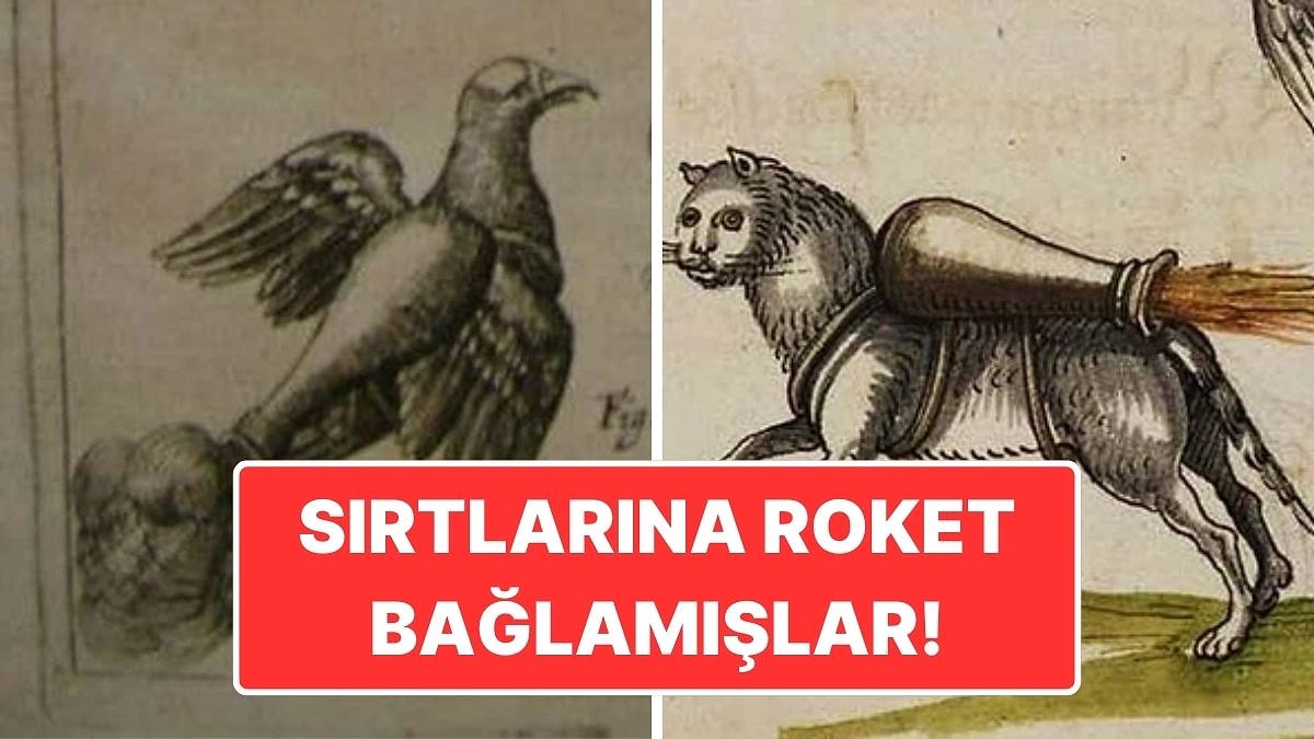 16. Yüzyılda Kediler ve Kuşlar Neden Roket Olarak Kullanılmıştı?