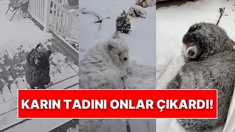 Karlı Havaları Seven Köpeklerin Eve Girmek İstemediği Anlar Kalpleri Eritti