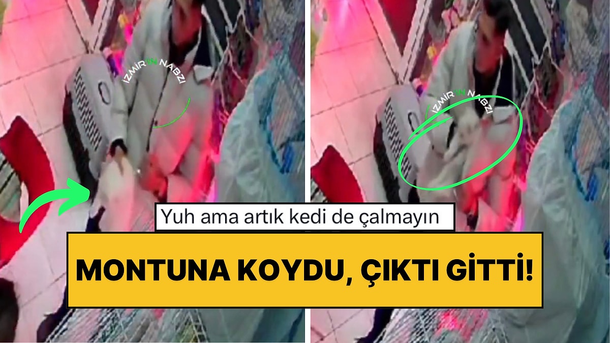 İzmir’de Bir Evcil Hayvan Mağazasına Giren Şahıs Montunun İçine Sokarak Kedi Çaldı