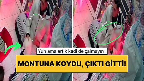 İzmir’de Bir Evcil Hayvan Mağazasına Giren Şahıs Montunun İçine Sokarak Kedi Çaldı