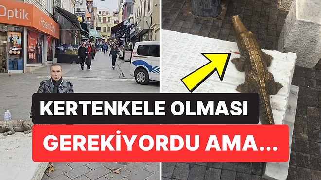 Kadıköy Belediyesi'ndeki Timsah Heykellerinin Arkasındaki Büyük Yanlış Anlaşılmayı Biliyor muydunuz?