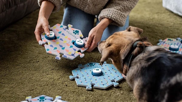 Araştırmanın bir diğer ilginç bulgusu ise kaygı seviyeleriyle düğme kullanımı arasındaki ilişki. Daha kaygılı köpeklerin düğmeleri daha sık kullandığı gözlemlendi. Uzmanlar, köpeklerin çevreleri üzerinde kontrol hissi kazanma çabası olabileceğini düşünüyor.