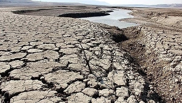 Ayrıca bu yıl su kıtlığı, okyanus temizliği ve su kaynakları ile ilgili yeni projelerin artabileceğinden bahseden Eriçdem, empati ihtiyacımızın da yükseleceğini belirtiyor.