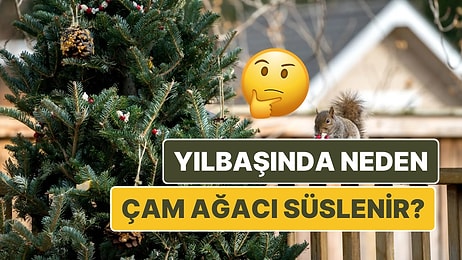 Yılbaşında Çam Ağacı Neden Süslenir? Bu Geleneğin Kökeni Sizi Bir Miktar Şaşırtabilir!