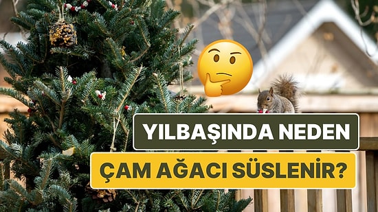 Yılbaşında Çam Ağacı Neden Süslenir? Bu Geleneğin Kökeni Sizi Bir Miktar Şaşırtabilir!