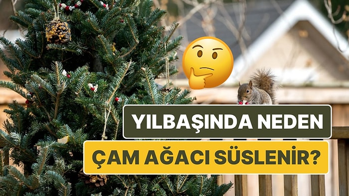 Yılbaşında Çam Ağacı Neden Süslenir? Bu Geleneğin Kökeni Sizi Bir Miktar Şaşırtabilir!