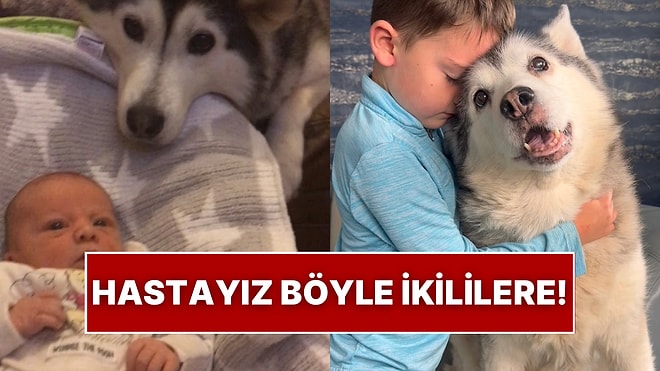 Hastayız Böyle İkililere: Bebek ile Husky Köpeğin Dostluğu Yıllar Geçtikçe Daha da Güzelleşti