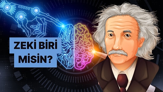 Ne Kadar Zeki Olduğunu Gösteren Test!