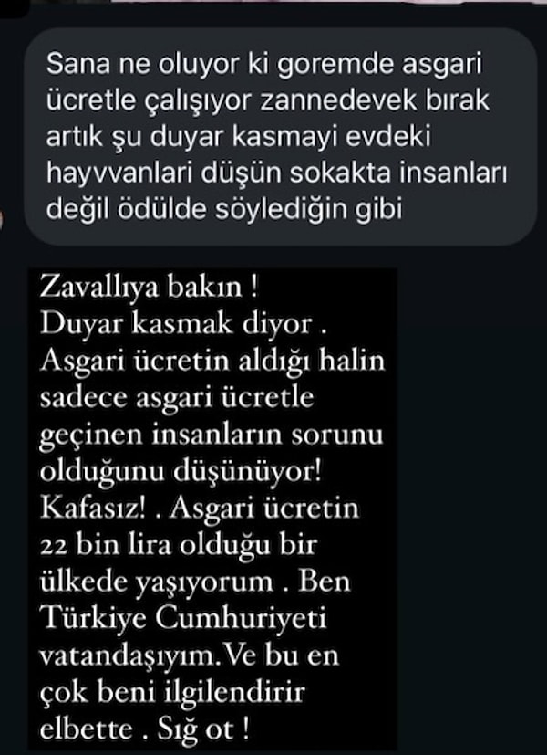 "Sana ne oluyor ki! Gören de asgari ücretle çalışıyor zannedecek. Bırak artık şu duyar kasmayı! Evdeki hayvanları düşün, sokaktaki insanları değil, ödülde söylediğin gibi" ifadeleriyle oyuncuya tepki gösteren kullanıcıya Erkek'in cevabı ağır oldu.