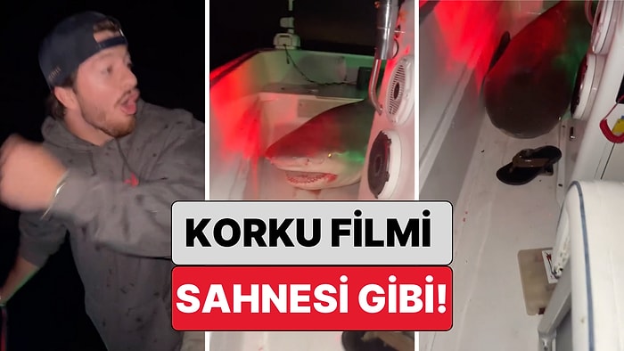 Korku Filmi Sahnesi Gibi: Balık Tutmak İçin Yola Çıkan 3 Arkadaşın Teknesine Köpek Balığı Atladı