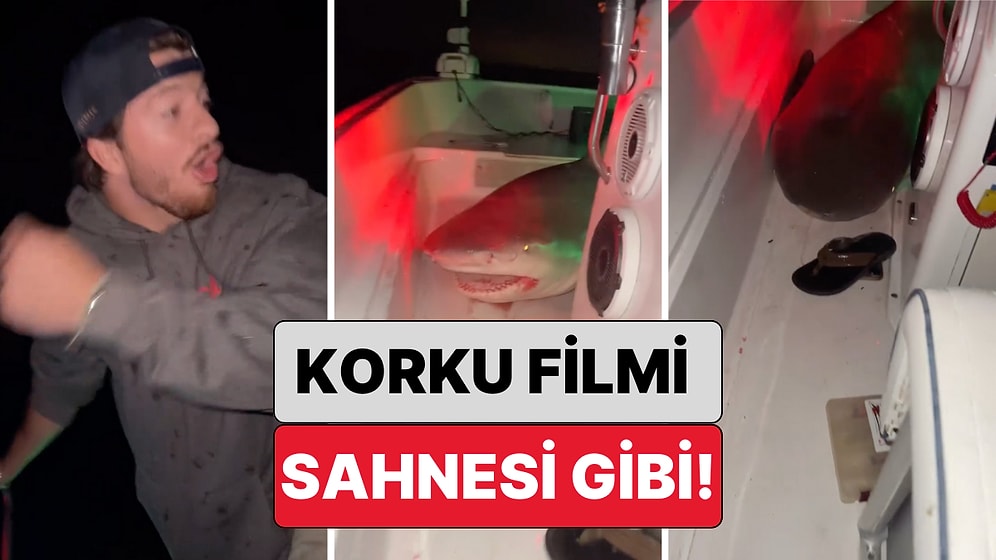 Korku Filmi Sahnesi Gibi: Balık Tutmak İçin Yola Çıkan 3 Arkadaşın Teknesine Köpek Balığı Atladı