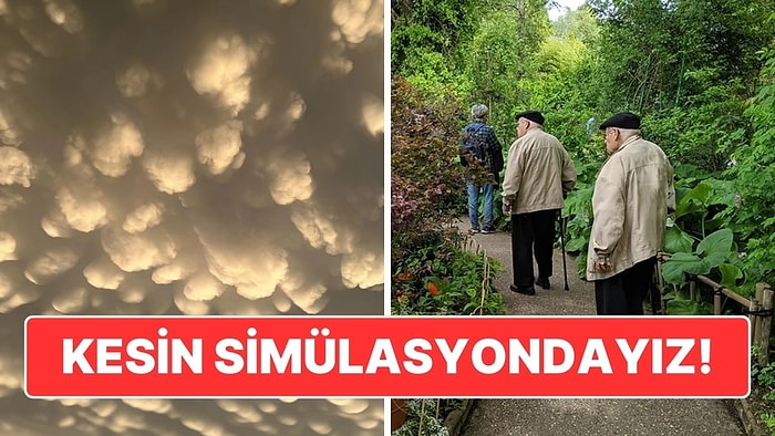 Gördüğünüz Andan İtibaren Simülasyonda Yaşadığımıza İkna Olacağınız Birbirinden İlginç Fotoğraflar