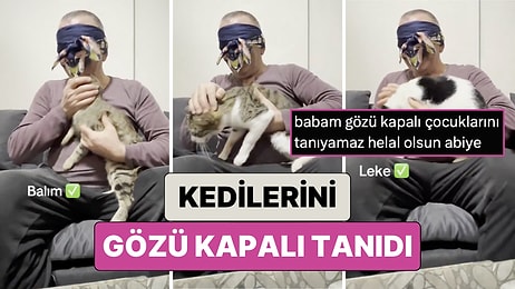 Evindeki 7 Kediyi Gözleri Kapalı Bir Şekilde Tanımaya Çalışan Adamın Videosu Kalpleri Isıttı