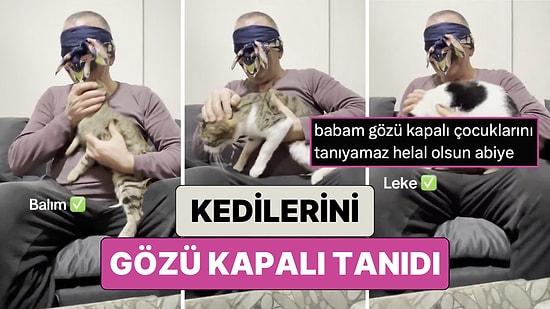 Evindeki 7 Kediyi Gözleri Kapalı Bir Şekilde Tanımaya Çalışan Adamın Videosu Kalpleri Isıttı