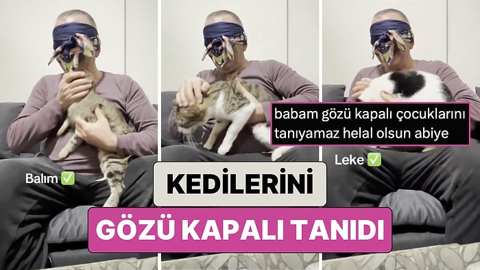 Evindeki 7 Kediyi Gözleri Kapalı Bir Şekilde Tanımaya Çalışan Adamın Videosu Kalpleri Isıttı