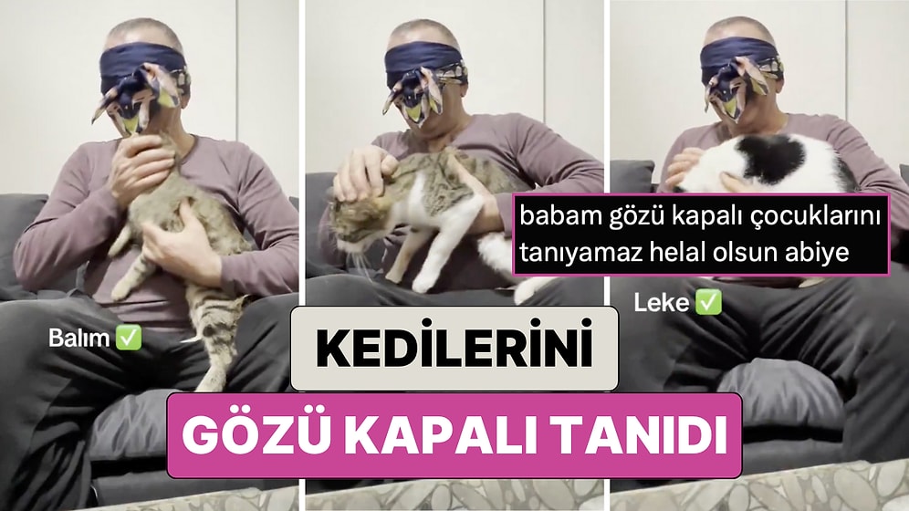 Evindeki 7 Kediyi Gözleri Kapalı Bir Şekilde Tanımaya Çalışan Adamın Videosu Kalpleri Isıttı