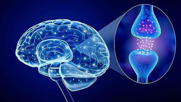 Serotonin, mutluluk ve huzur hissiyle bağlantılı bir nörotransmitterdir. Eksikliği ise mevsimsel depresyon (SAD) olarak bilinen duruma yol açabilir. Araştırmalar, bu durumda karbonhidrat tüketme isteğinin arttığını gösteriyor.