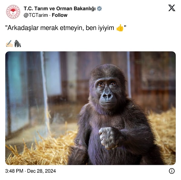 "Arkadaşlar merak etmeyin, ben iyiyim"