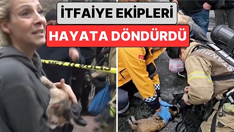 Beyoğlu'nda Çıkan Bir Yangında Kalbi Duran Kediyi İtfaiye Ekipleri Yaptıkları Müdahale ile Hayata Döndürdü