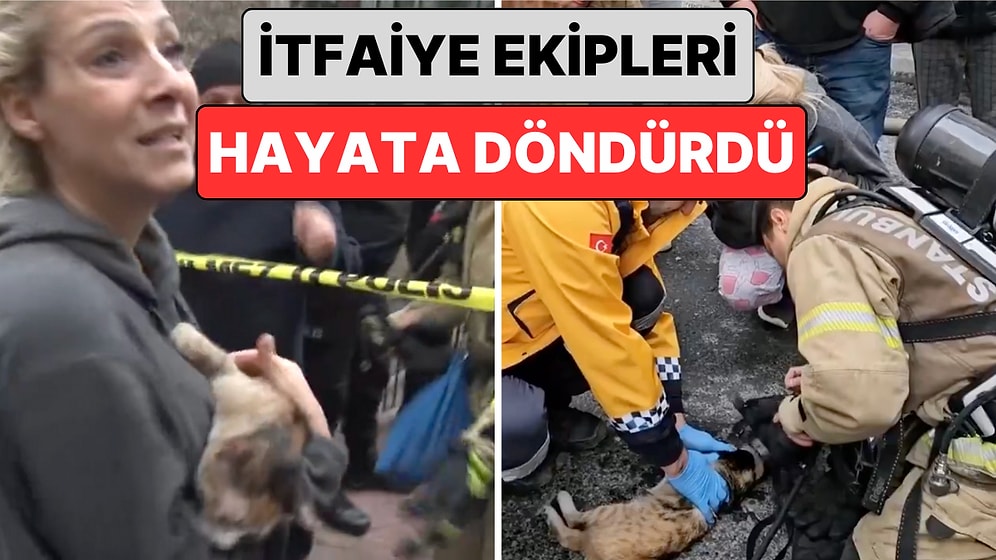 Beyoğlu'nda Çıkan Bir Yangında Kalbi Duran Kediyi İtfaiye Ekipleri Yaptıkları Müdahale ile Hayata Döndürdü