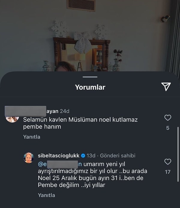 Bunun üzerine de bir kullanıcı, "Selamün kavlen Müslüman noel kutlamaz Pembe Hanım" yorumunda bulundu. Taşçıoğlu da bu yoruma kayıtsız kalamadı ve kendisine aşağıdaki yanıtı verdi.