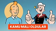 Temel Reis ve Tenten'in Kamu Malı Statüsüne Geçmesi Ne Anlama Geliyor? Tüm Detaylarıyla Anlattık!