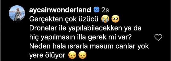 Siz neler düşünüyorsunuz?