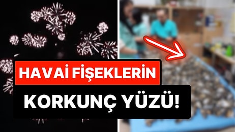 Yılbaşı Etkinliğinde Patlatılan Havai Fişeklerin Doğaya Verdiği Zararı Görünce İçiniz Cız Edecek