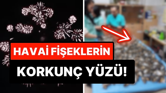 Yılbaşı Etkinliğinde Patlatılan Havai Fişeklerin Doğaya Verdiği Zararı Görünce İçiniz Cız Edecek