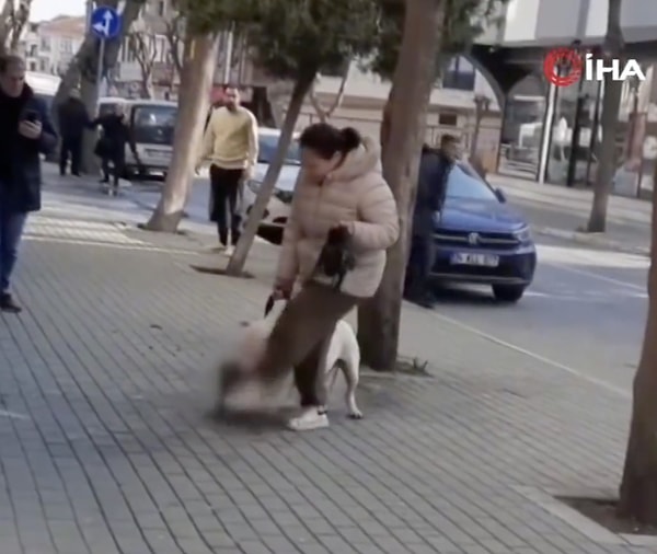 O anlar cep telefonu kamerasıyla başka bir vatandaş tarafından kaydedildi. Görüntüler sosyal medyada gündem olunca ekipler köpek sahibi G.A. isimli kadını gözaltına aldı.