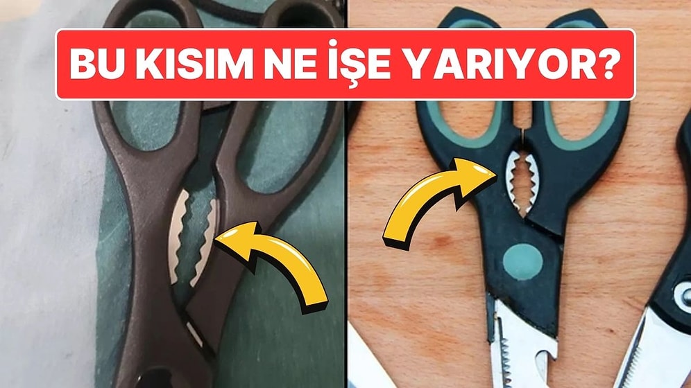 Makasların Ortasındaki Bu Tırtıklı Kısım Ne İşe Yarıyor? Daha Önce Kullanmadığınıza Eminiz!