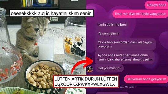 Dertli Kediden Bitmeyen Barış Alper Aşkına Son 24 Saatin Viral Tweetleri