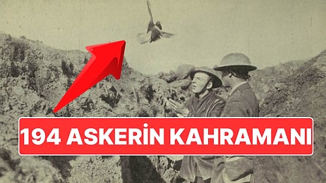 Savaşta 194 Askerin Hayatını Kurtaran Haber Güvercini 'Biricik Arkadaşım Cher Ami'nin Kahramanlık Hikayesi!