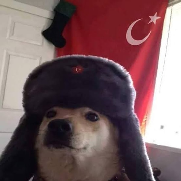 Very Turkish