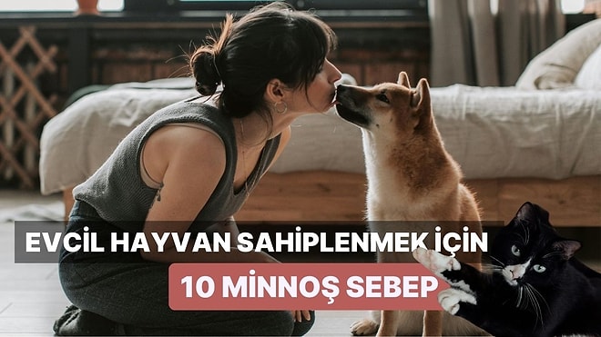 Evcil Hayvan Sahiplenmek İçin 10 Minnoş Sebep