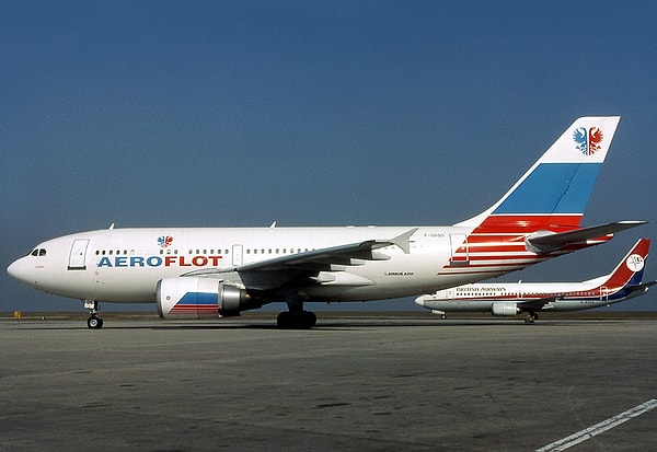 1994 yılının 23 Mart günü, Aeroflot Flight 593, Moskova'dan Hong Kong'a doğru ilk uluslararası uçuşunu gerçekleştiriyordu. Uçakta, kaptan pilot Yaroslav Kudrinsky'nin iki çocuğu da bulunuyordu.