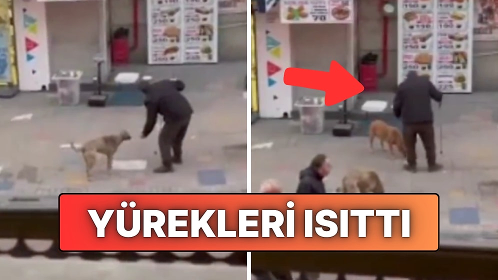 Karabük’te Görme Engelli Seyyar Satıcı Yürekleri Isıttı: Sahipsiz Hayvanları Unutmadı