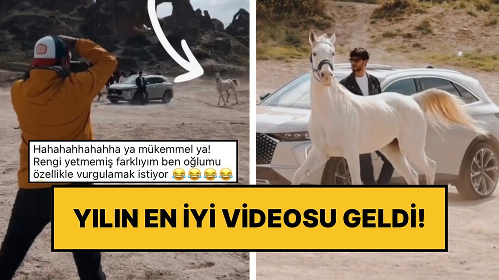 Profesyonel Fotoğraf Çekiminde İlhan Şen ile Birlikte Poz Veren Beyaz At, “Ben de Buradayım” Dedi