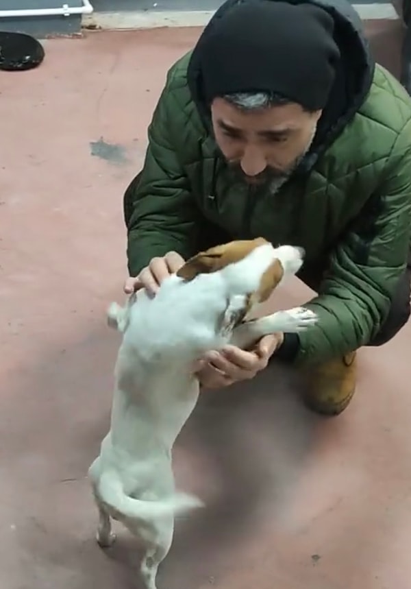 Köpeğin sahibini gördüğü anda yaşadığı mutluluk ve sahibine olan saf sevgisi kalbimizi ısıttı.