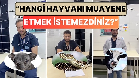 Veteriner Hekimler O Soruyu Yanıtladı: "Hangi Hayvanı Muayene Etmek İstemezdiniz?