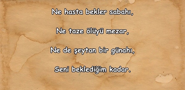 6. Bu dizeler hangi şaire ait olabilir?