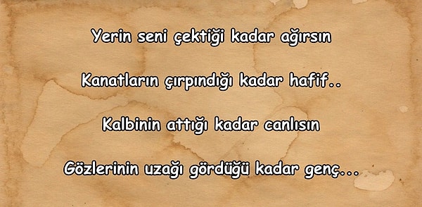 9. Bu dizeler hangi şaire ait olabilir?