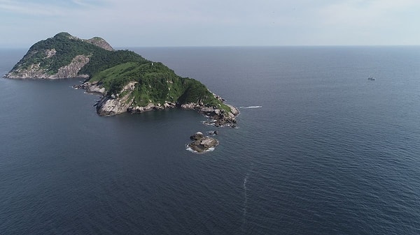 São Paulo sahillerinin açıklarında bulunan Ilha da Queimada Grande, nam-ı diğer Yılan Adası, dünya üzerindeki en ölümcül yerlerden biri olarak biliniyor. Adanın 106 dönümlük alanında, yaklaşık 4.000 yılan yaşıyor.