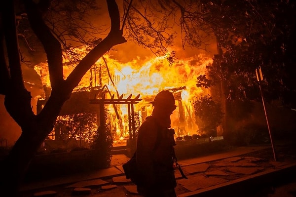 İtfaiye ekipleri bu yangınla mücadele ederken, Los Angeles'ın merkezinde bulunan Hollywood Hills bölgesinde başka bir yangın daha çıktı. Acil müdahale ekipleri, kontrol edilemeyen yıkıcı orman yangınlarıyla eşzamanlı olarak savaşıyor.