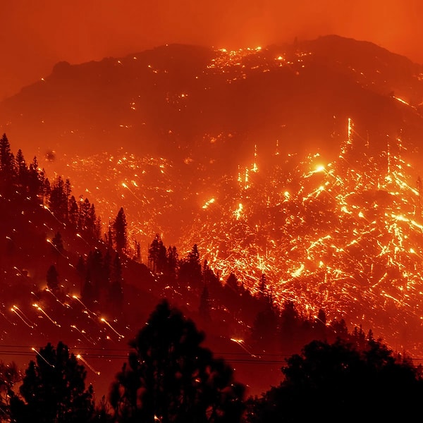 ABD'nin California eyaletinde yer alan Los Angeles County’de orman yangınları devam ediyor. Şiddetli rüzgarlar nedeniyle alevlerin hızla ilerlediği yangınlarda birçoğu milyonlarca dolarlık ev olan 2 binden fazla yapı küle döndü. Tahminlere göre yangının maliyetinin 60 milyar doları aşması bekleniyor.