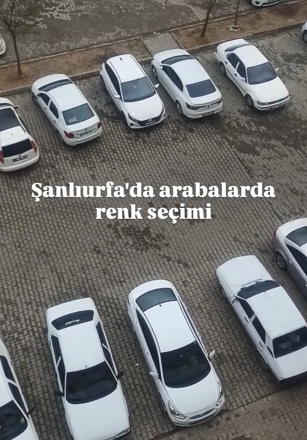 İzleyiciler araçlarda beyaz rengin tercih edilmesinin sebebinin şehrin sıcaklığından kaynaklandığını dile getirdi.