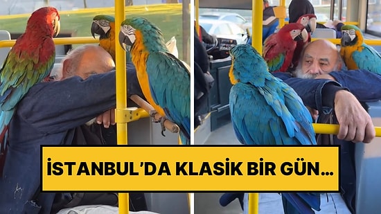 Sosyal Medya Onu Konuşuyor: Dört Tane Papağanıyla Gezen İstanbullu Amca