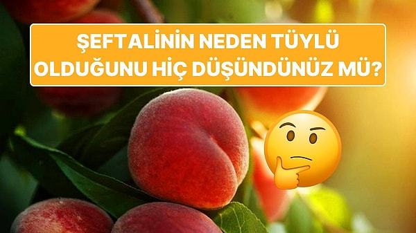 9. Şeftalinin Neden Tüylü Olduğunu Biliyor musunuz?