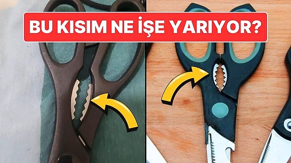 11. Makasların Ortasındaki Bu Tırtıklı Kısım Ne İşe Yarıyor?